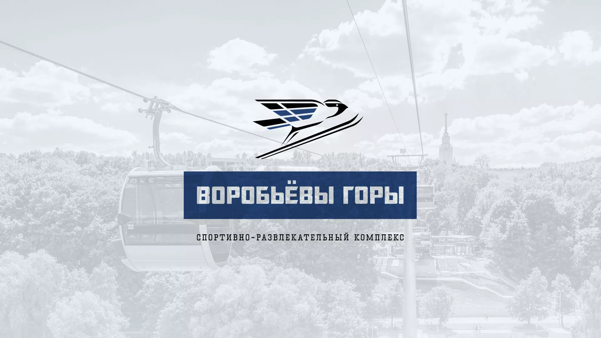 Разработка сайта в Любиме для спортивно-развлекательного комплекса «Воробьёвы горы»